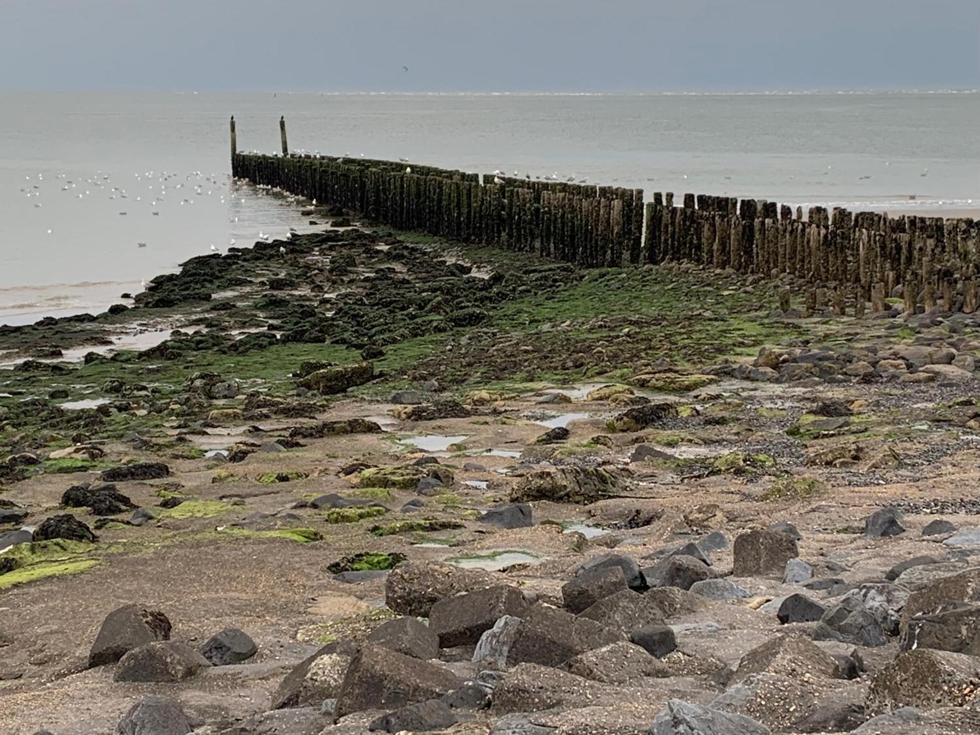 De Logeerkamer Gapinge Exteriér fotografie